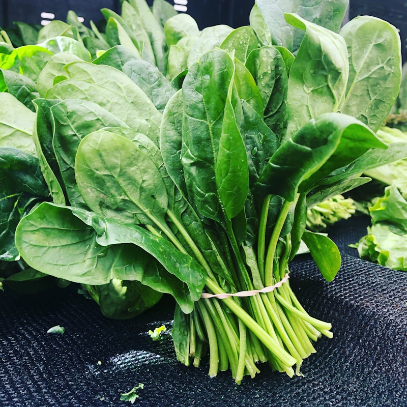 Espinaca Baby