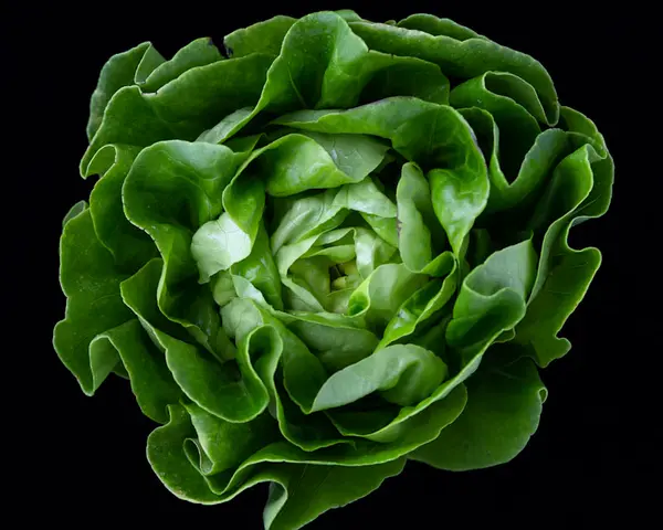 Mix de Lechugas Gourmet